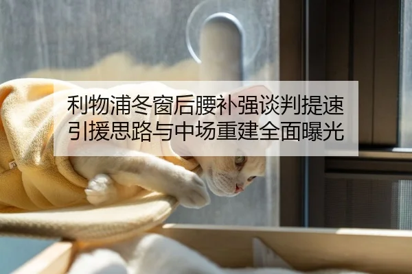 利物浦冬窗后腰补强谈判提速 引援思路与中场重建全面曝光